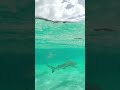 French Polynesia