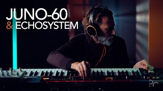 Juno Fog. Juno-60 Echosystem, Roli Block Cycles Slateash