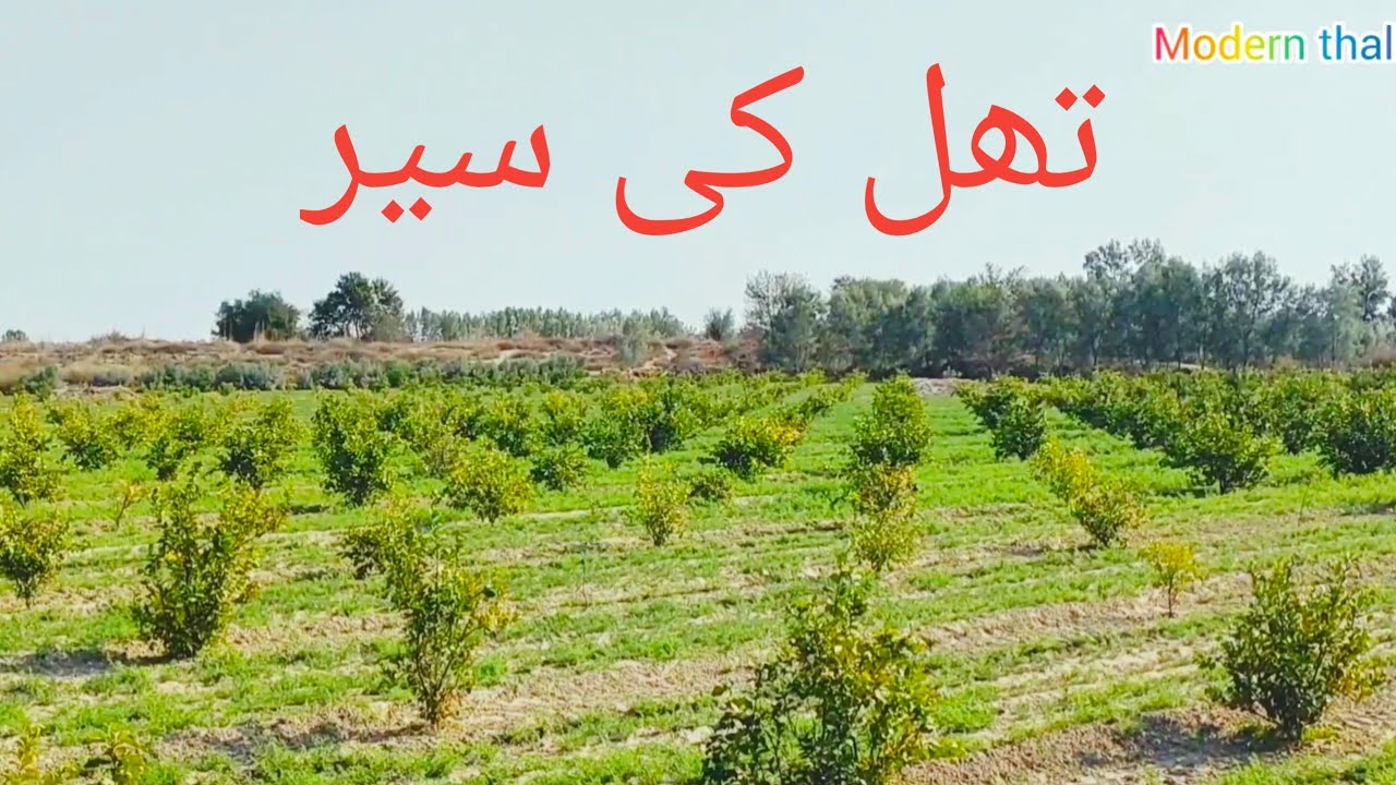 Thal Ki Sair | Village Life | Modern Thal |