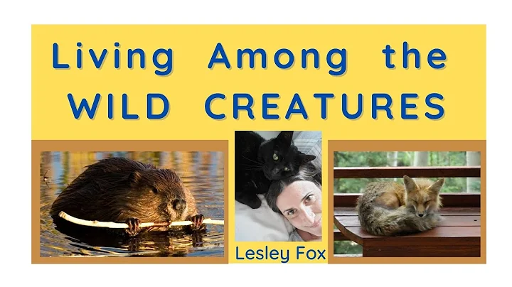 Lesley Fox:  How to help wildlife while respecting...