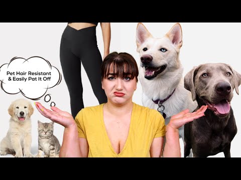 Dog Trainer Reviews Viral Pet Hair Resistant Leggings