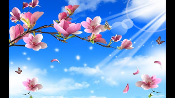 Bộ Mẫu Rèm Cầu Vồng Hàn Quốc "ĐẸP" - Vải Cản Sáng!