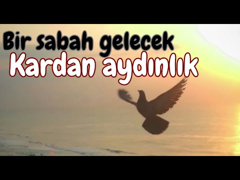 BİR SABAH GELECEK KARDAN AYDINLIK