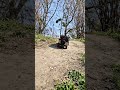 So Real!RC Defender in the Forest #short #rccrawler #offroadrc  #rc4x4  #forest #mn99s  #rclandrover