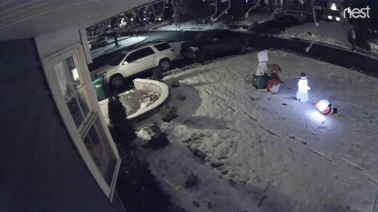 Another Amazon Logistics delivery throwing package fail! Really come on