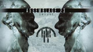 Watch Assemblage 23 Salt The Earth video