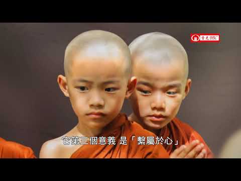 五位百法:Ⅱ.心所有法