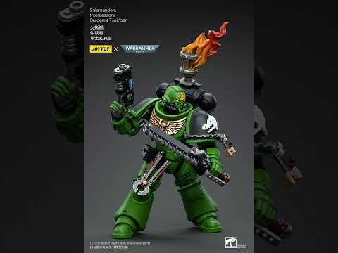 Salamanders Intercessors Sergeant Tsek'gan video