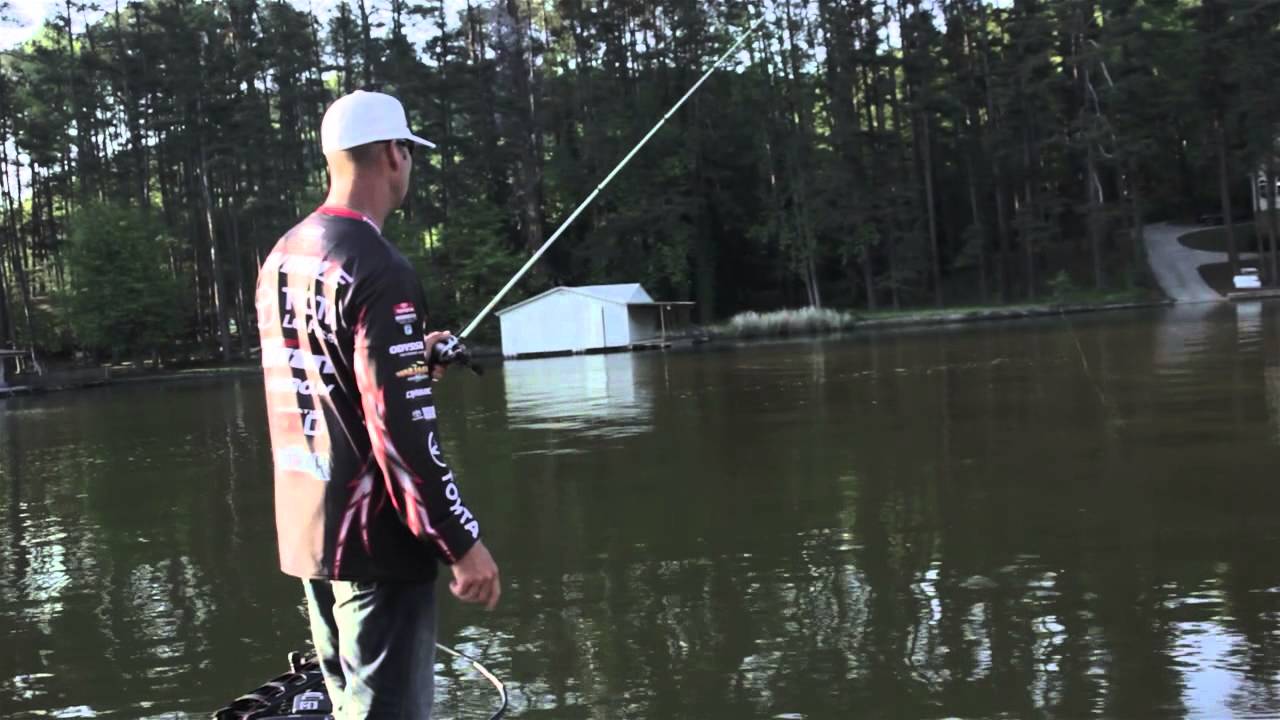 How to Sight Fish for Bass