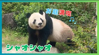 9/20 シャオシャオ】お庭もおやつも満喫！ - YouTube