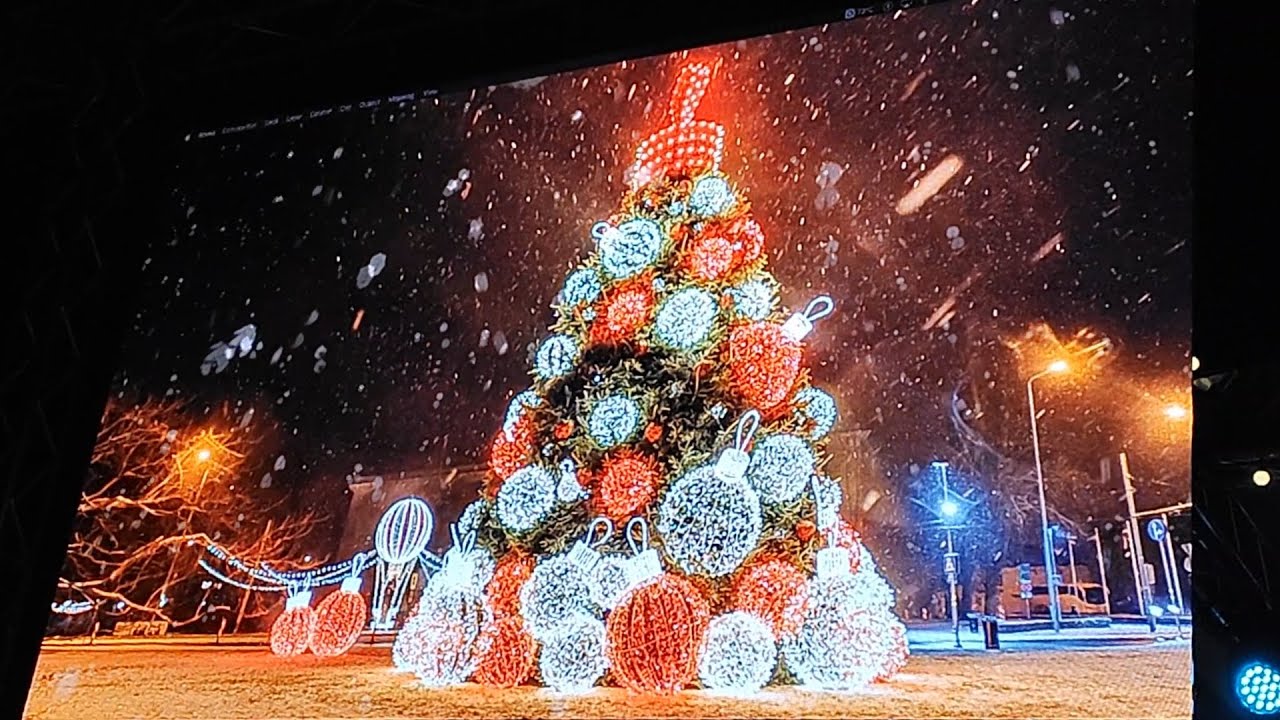 Liepājas galvenās egles atklāšana 2023