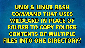 Bash command that uses wildcard in place of folder to copy folder contents of multiple files...