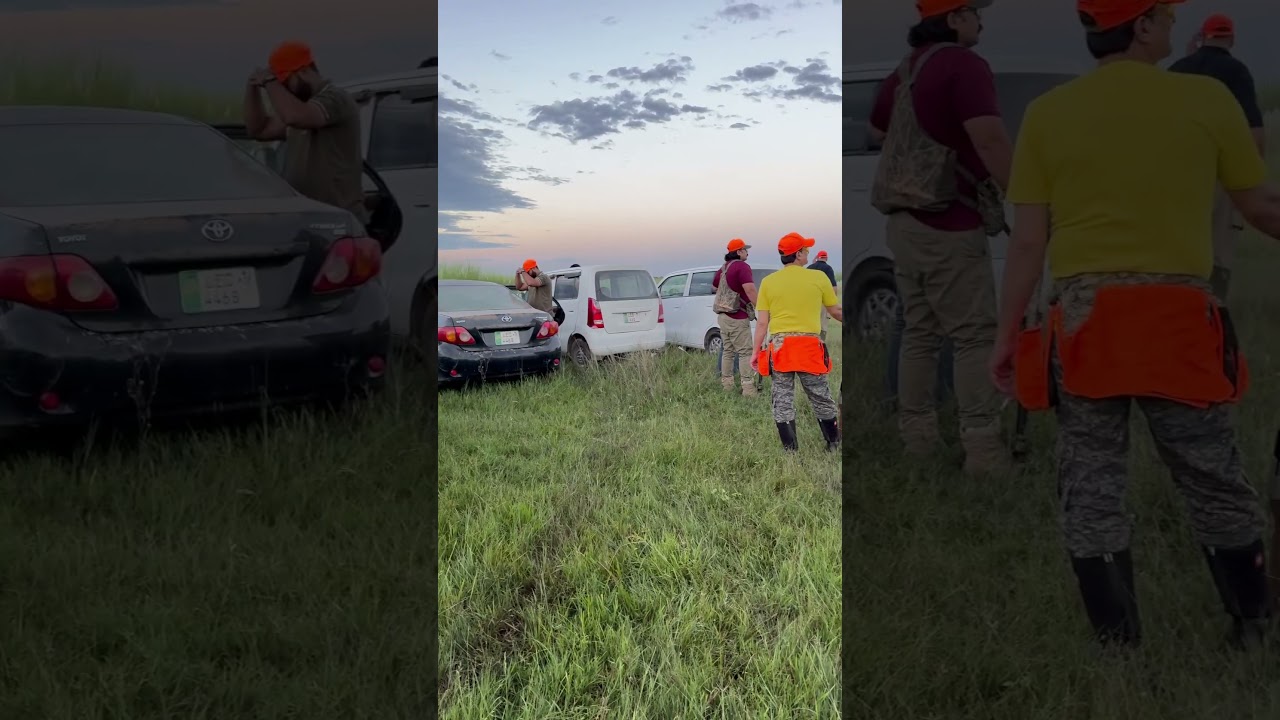 Quail hunting in pakistan | with pointers | Hunters ready