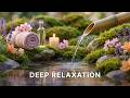 Tranquil Bamboo Water Fountain &amp; Soft Ambient Music for Relaxation, Stress Relief &amp; Inner Peace 🌿