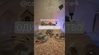 ОДИНОЧЕСТВО