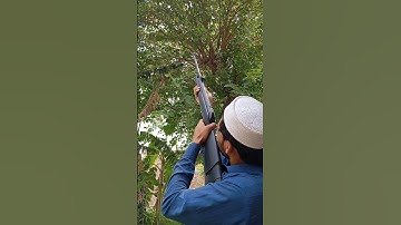 Airgun hunting | Air rifle hunting | Outdoor hunting | Hunting with airguns | Pellet gun hunting
