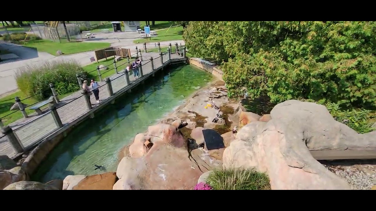 New Neil Anderson Canopy Tour Over NEW Zoo and Adventure Park Suamico, WI 91422 YouTube