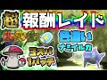 【ポケモンSV】色違いナミイルカ+スパイス3個+パッチレイド 自動配布配信 Ultra Tera Raid! Shiny ralts+Spice×3 gift! #pokemon