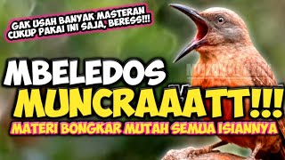 MATERI MUNCRATT!!! MASTERAN MEWAH SUPER KOMPLIT || MASTERAN MURAI BATU CUCAK HIJAU KACER CENDET