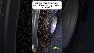 Yall think Blue Beacon will clean this🚛😳 #DroppNHook #TheTruckersTrap #Truckers #SemiTrucks