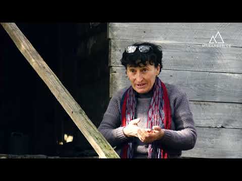 „სადაც ინტერნეტი დაიჭირა, ქოხი იქ ავუშენეთ ბავშვს, რომ გაკვეთილებს დასწრებოდა“