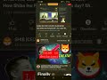 SHIB INU CEO LIVE WITH ELON MUSK