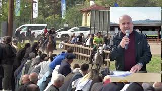 ÜNYE’DE CUMHURİYET KOŞUSU NEFES KESTİ