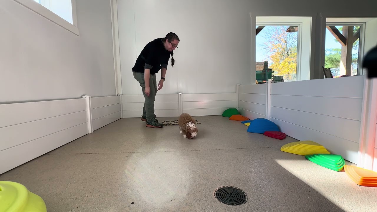 Rubi Training Session 10/28