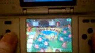 Animal Crossing Storm Ds Phat