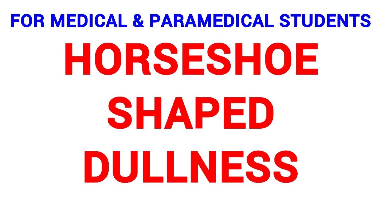HORSESHOE SHAPED DULLNESS CLINICAL LAB YouTube