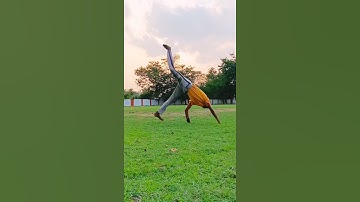 Full Twist Flip Combo #shorts