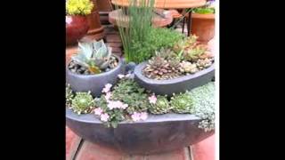 Container Gardening Ideas