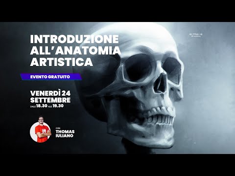 Introduzione all&rsquo;anatomia artistica: come disegnare al meglio la figura umana