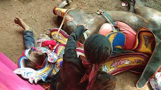 Download Lagu Atraksi kuda renggong sumedang viral - Cep Fajar 2018 MP3