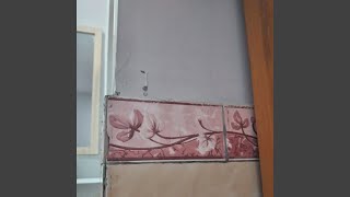 Ternodai
