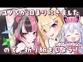 【🟡実写カメラ / camera 】ユノちがお泊りにくるので、折り紙します!!!!(?)withののちゃん【 千石ユノ / 仲町あられ / 夢限大みゅーたいぷ 】