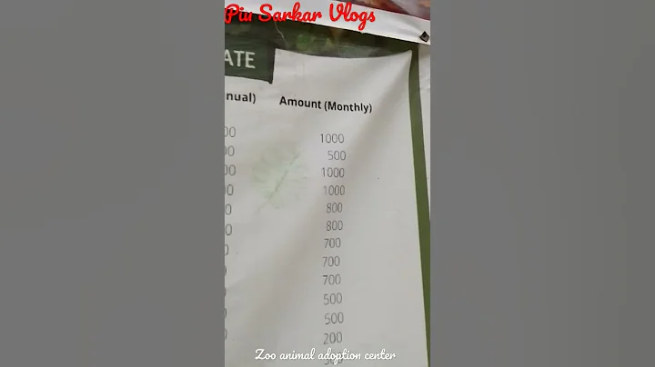 Video 11591621: adopted bengal, animals bengal