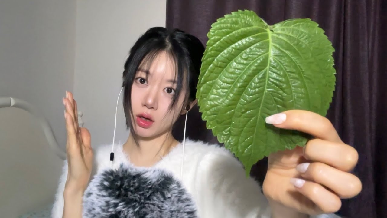 ASMR 진짜 좋은 깻잎 소리와 마지막 토킹(Talking, whispering)