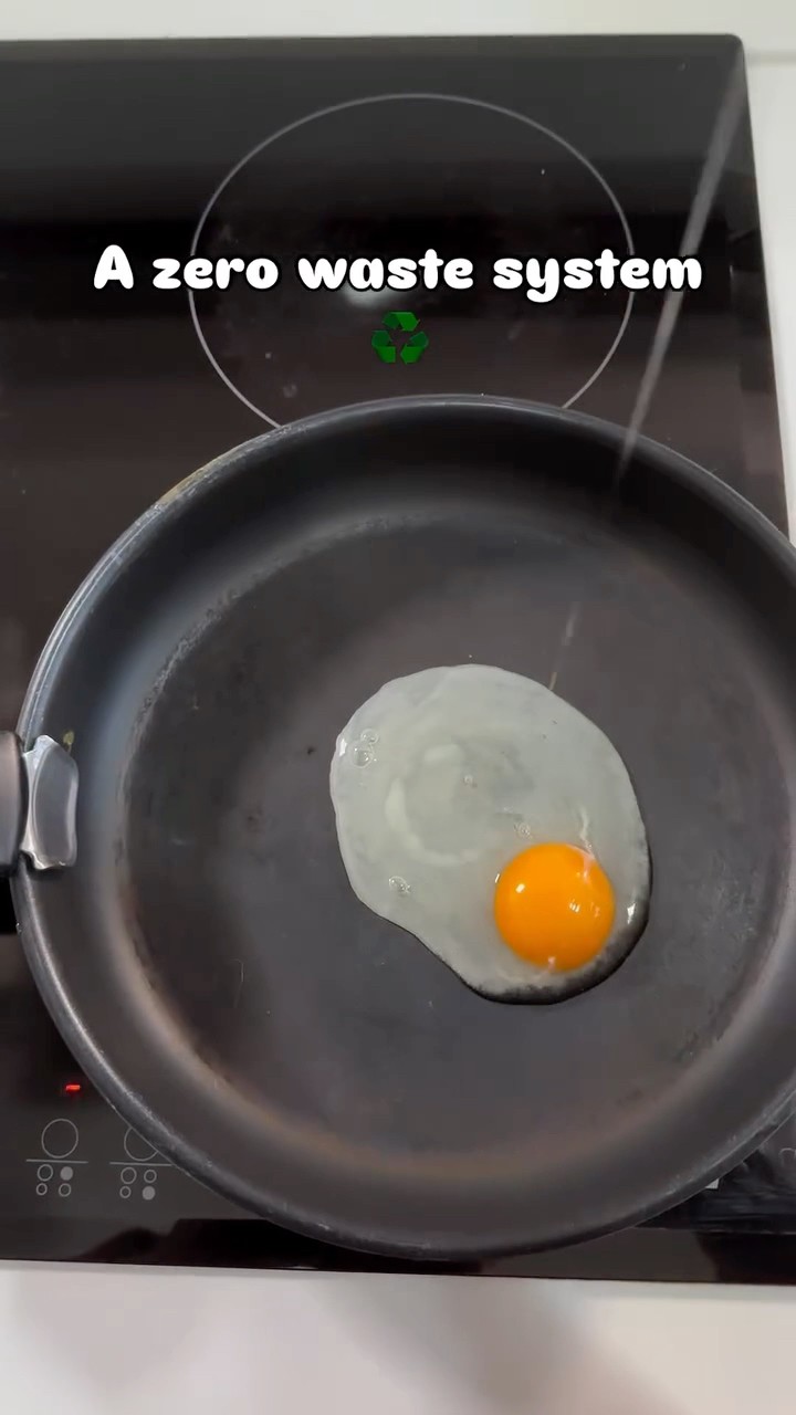 #JasonDeruloTV // ?Eggs #GotPermissionToPost From IG/TT @benji.goldenretriver  #GladUCame