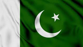 Pakistan Flag Waving Background | HD | FREE DOWNLOAD screenshot 2