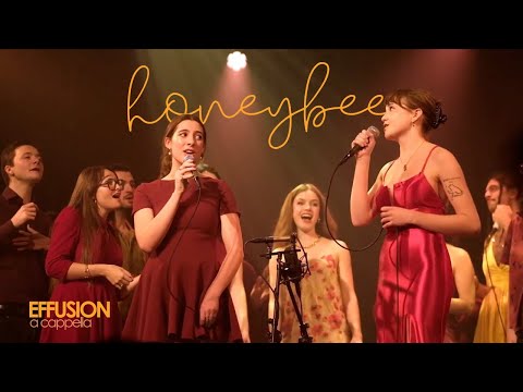Honeybee - Effusion A Cappella (Cover of The Head and the Heart)
