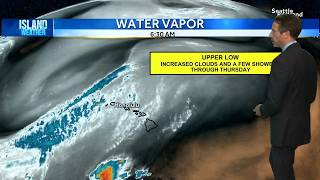 Thursday Weather Forecast | Trade showers expected as humid weather lingers
