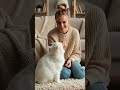#cat #studywithmeandmycat #cuteanimals #kitten #catvideos #cute #funny