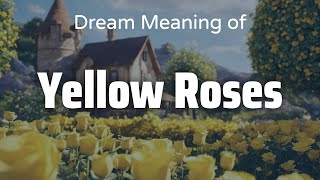 Yellow Roses Dream Meaning & Symbolism | Interpretation Psychology Significance Of Yellow Roses