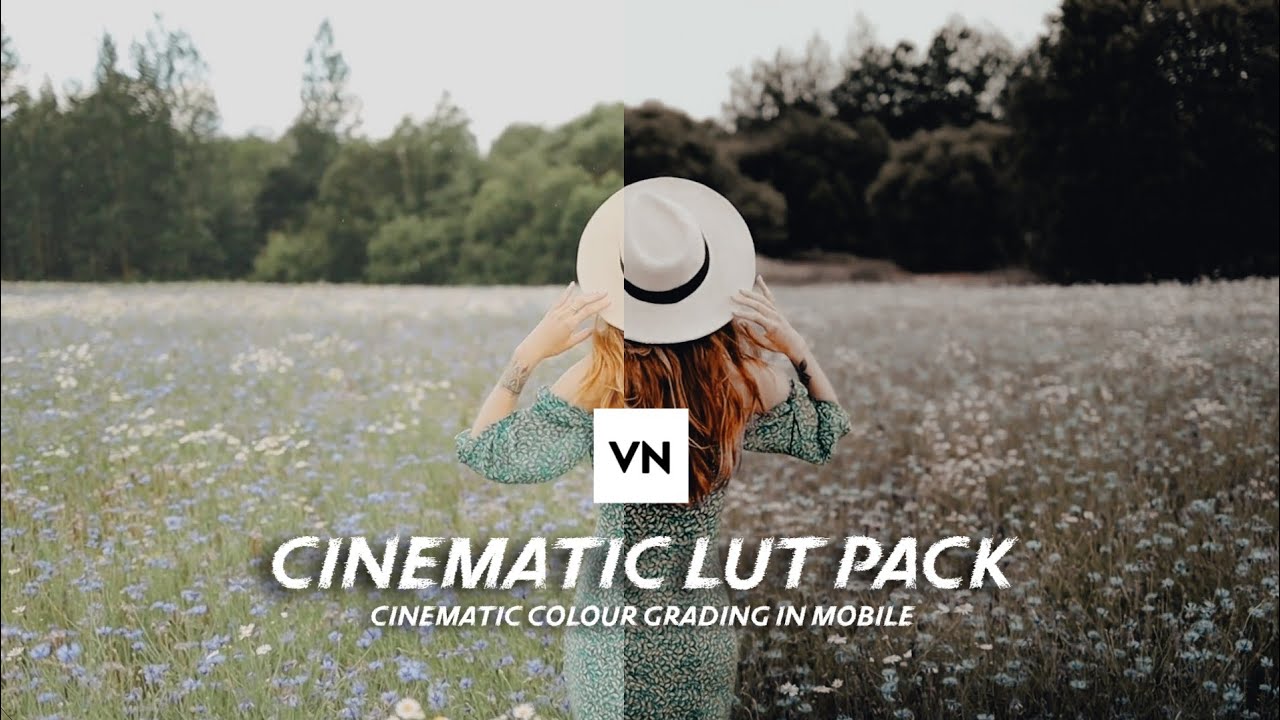 Cinematic VN Lut Pack | Free Luts Pack | Color grading with luts on mobile (VN Video Editor)