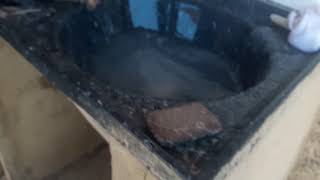 Meu Cachorro Tomando Banho Na Pia