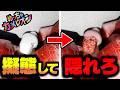 【大バズ中】自分に色を塗ってかくれんぼするゲームをめめ村で遊んだら神だったよ【めっちゃカメレオン】