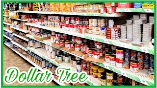 DOLLAR TREE 🌳 SHOP WITH ME GROCERY ASILE