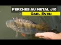 Pche de la perche au jigs mtalliques  les conseils de gal even