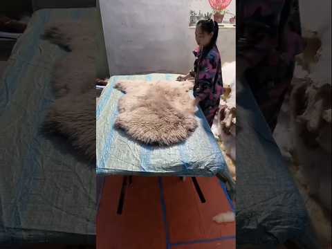 وسادة حماية مريحة للأريكة